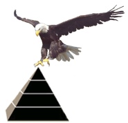 valken valkenshow valkenier valkerij vogelshow roofvogelshow roofvogelshows topvogel roofvogeldemonstratie roofvogeldemonstraties vogel roofvogel roofvogels gier arend uil buizerd havik educatie presentatie verjaardag feest bruiloft receptie school klas kinderen kind recreatie vliegen natuur